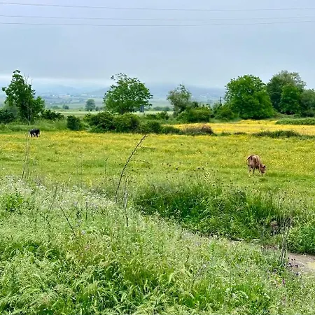 The Stone Canvas Farm stay *