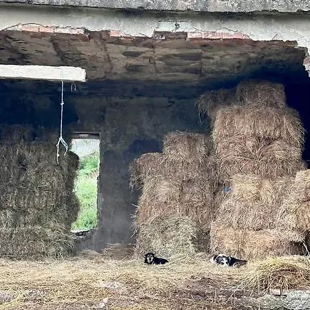 The Stone Canvas Farm stay *